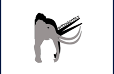 Wired for Fun - Dentist & Dental Care in Klerksdorp