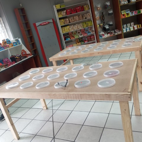 GE Herbs & Spices and More - Sweets & Confectionery in Klerksdorp