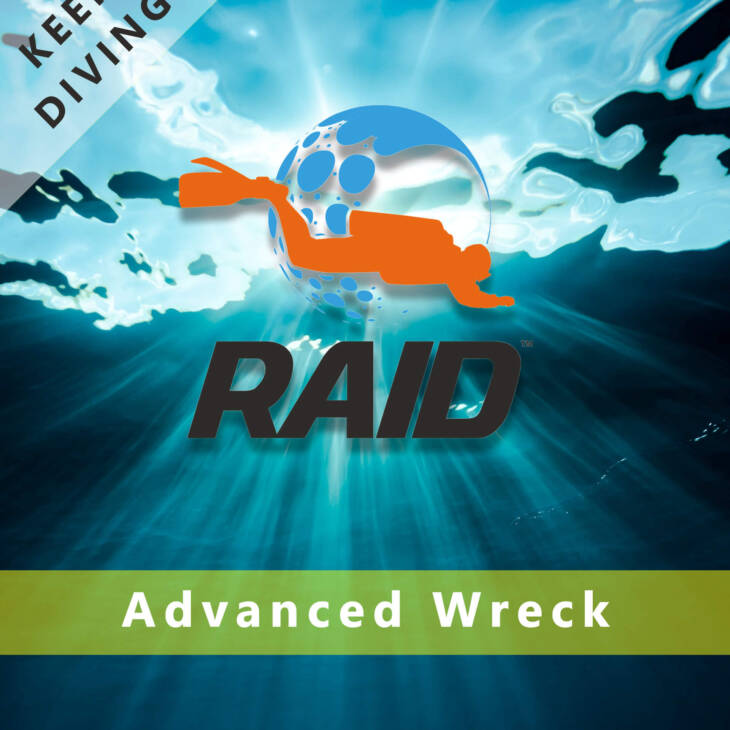 RAID Advanced Wreck