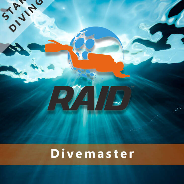 RAID Divemaster