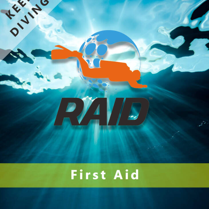 RAID 1st  AID