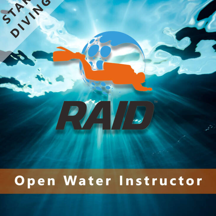 RAID Instructor
