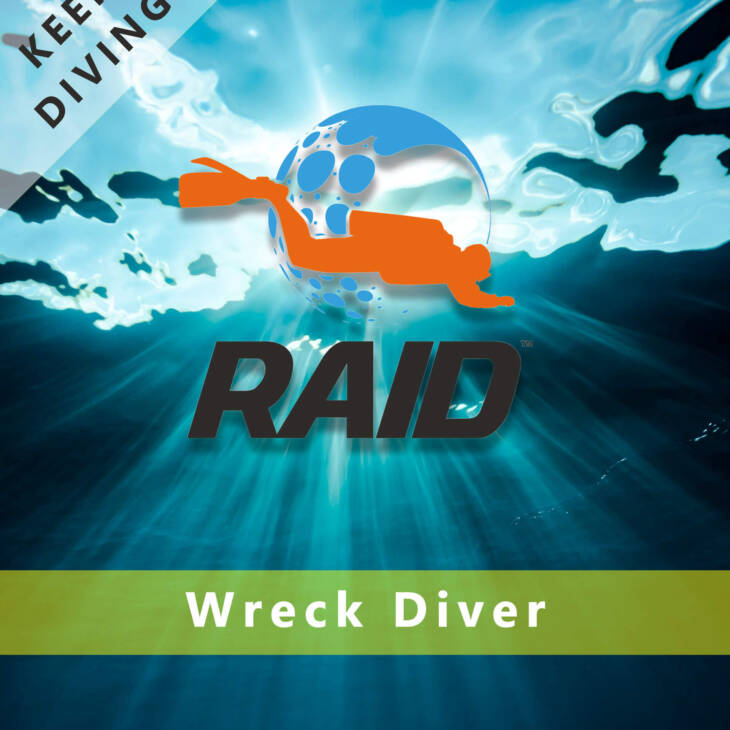 RAID Basic Wreck