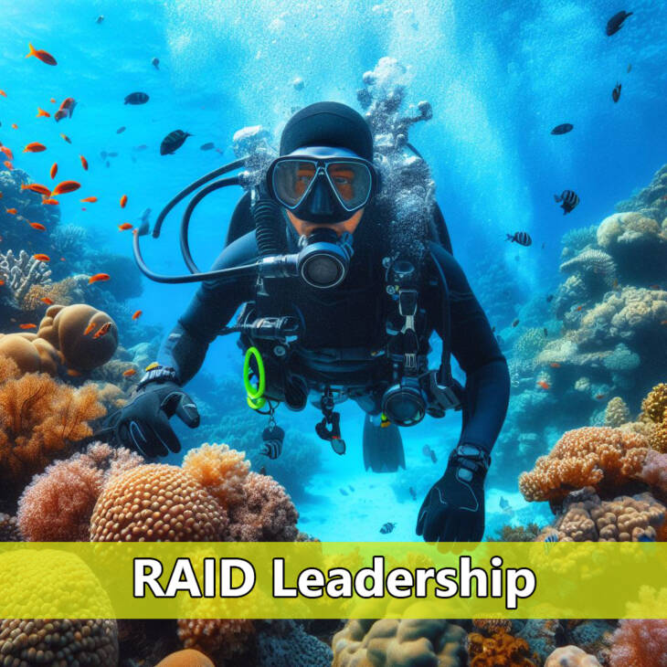 RAID Leadership